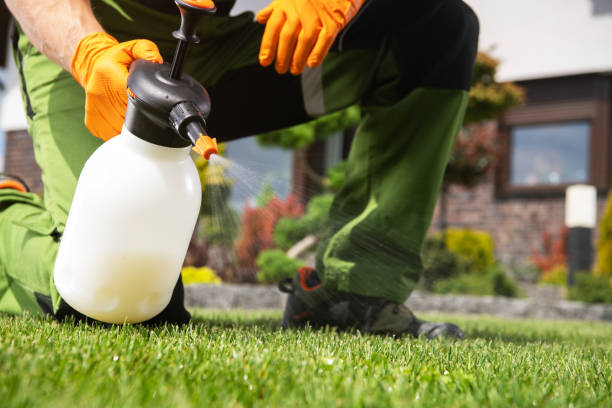 Pest Prevention Services in Ocean Grove, MA