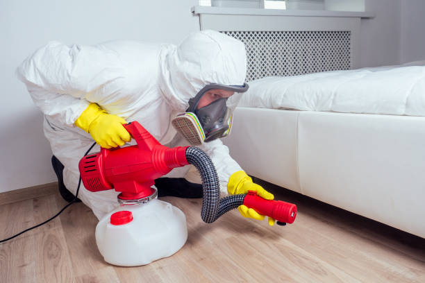 Best Affordable Pest Control Services  in Ocean Grove, MA