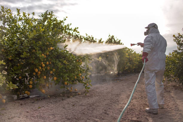Best Bed Bug Extermination  in Ocean Grove, MA
