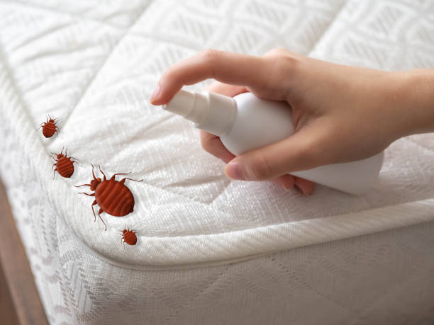 Best Pest Control Near Me in Ocean Grove, MA